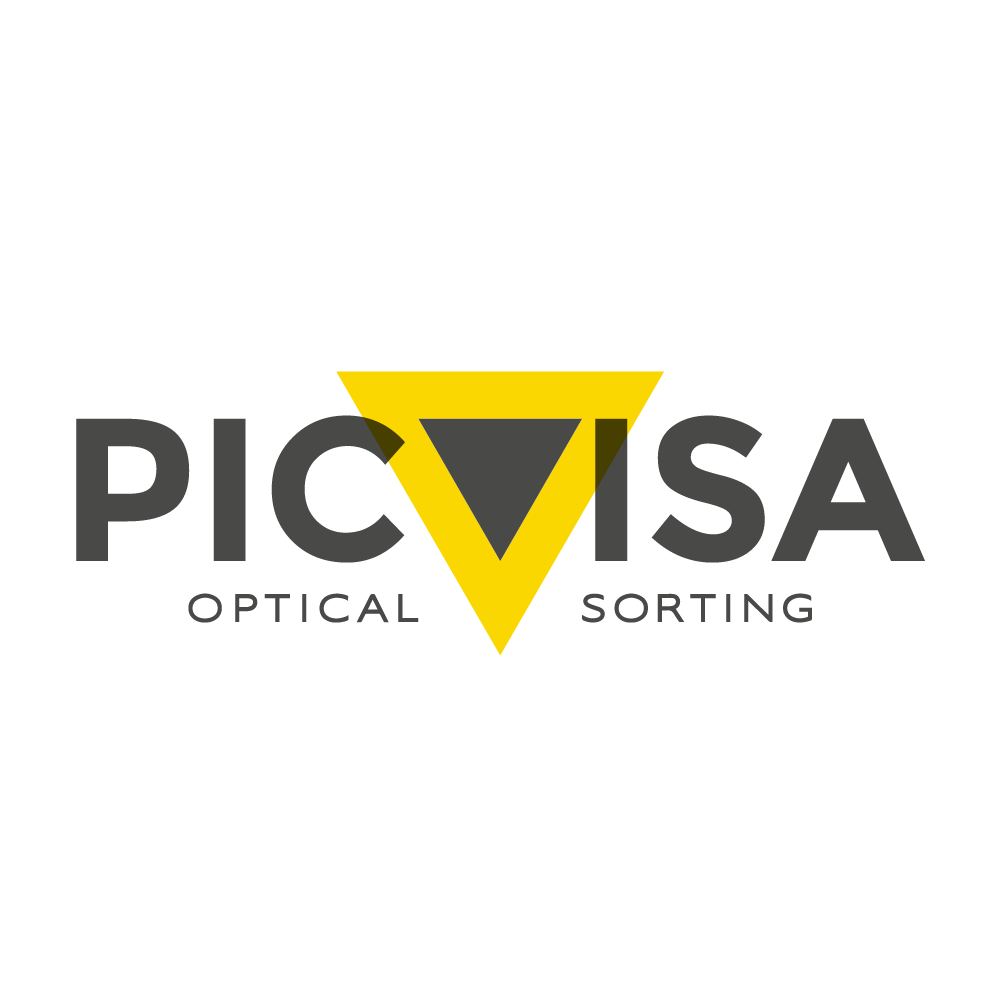 Logo IRIS – sistemas inspeção indústrial lda - PICVISA